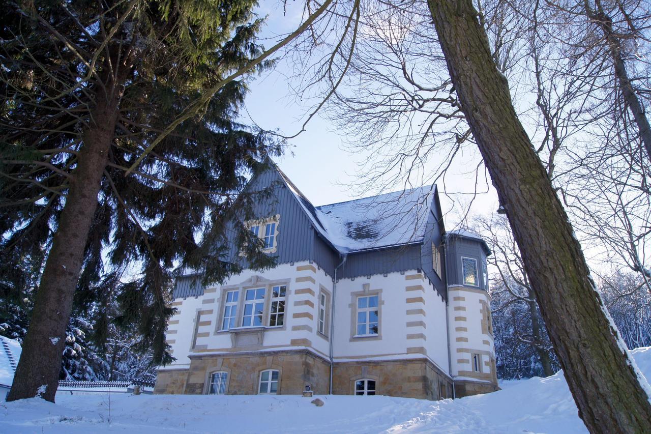 Villa-Unger Altenberg Eksteriør bilde